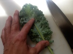 slicing kale
